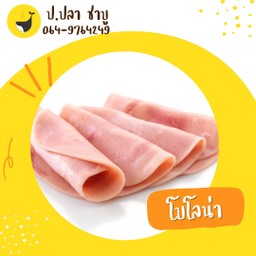 โบโลน่า