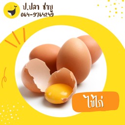 ไข่ไก่ (ฟอง)