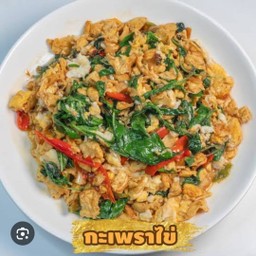 ข้าวราดกะเพราไข่