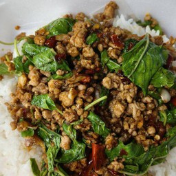 ผัดกระเพราหมูสับราดข้าว