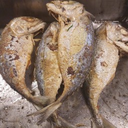ปลาทูทอด