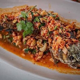 ปลาช่อนลุยสวน