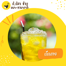 เก๊กฮวย (ขวด)