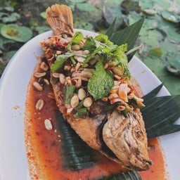 ปลาทับทิมทอดราดน้ำตก