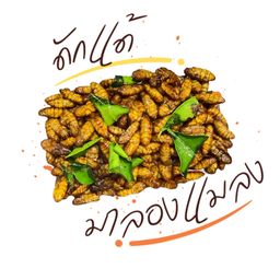 ดักแด้ทอด