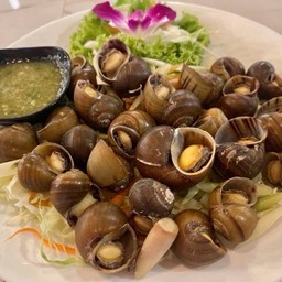 หอยนาลวกจิ้ม