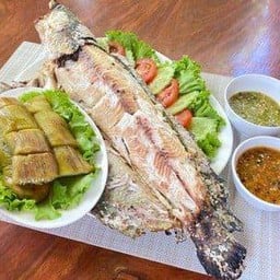 ปลาช่อนเผาเกลือ