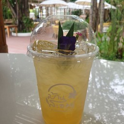 มะนาวน้ำผึ้งโซดา