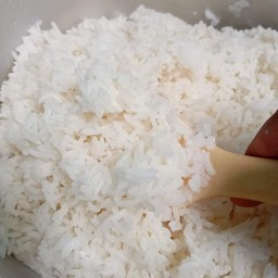 ข้าวเปล่าหอมมะลิ