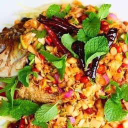 ปลาทับทิมลุยสวน