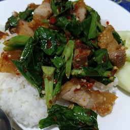 ข้าวคะน้าหมูกรอบ