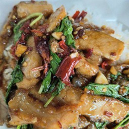 กระเพราคอหมูย่างราดข้าว