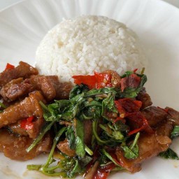 กรีน กะเพรา&ตามสั่ง