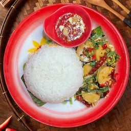 กะเพราหมูยอ