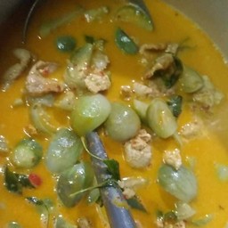 Coconut Milk Curry With Pork And Eggplant