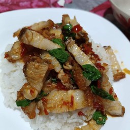 ข้าวกระเพราหมูกรอบ