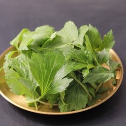 จิงจูฉ่าย