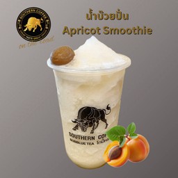 น้ำบ๊วยปั่น (Apricot Smoothie)