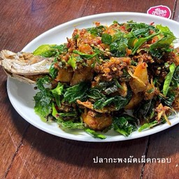 ปลากะพง ผัดเผ็ดกรอบ (ตัว)