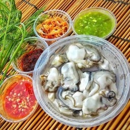 หอยนางรม