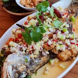 ปลากระพงลุยสวนเเอปเปิ้ล