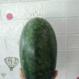 แตงโมสดปั่น