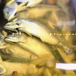 ปลาทูต้มใส่ยอดมะขาม