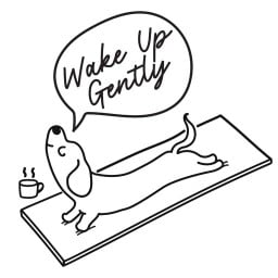 Wake up gently