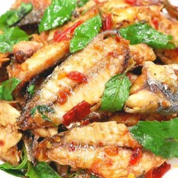 ข้าวกะเพราปลาทู