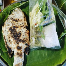 เมียงปลานิล