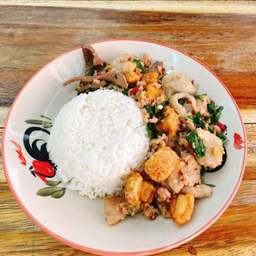 กะเพรารวมมิตรราดข้าว.