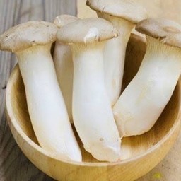 เห็ดออเรนจิ