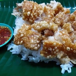 หมูกรอบ กระเพรา บ้านพฤกษ์ไพร