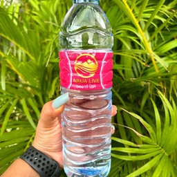 น้ำดื่มขวดชมพู - Drinking Water 600ml