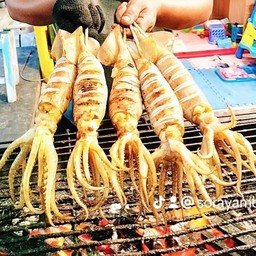 หมึกอเจนไข่