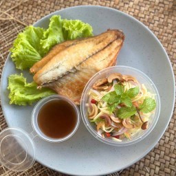 MENU_1021068Pk_1695441099