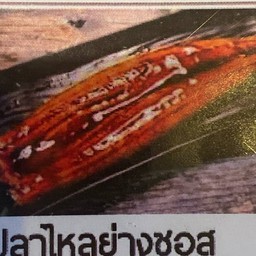 223 UNAGI KABAYAKI