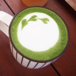 มัทฉะลาเต้ คลาสสิค (ร้อน)