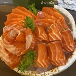 แซลมอน ซาซิมิ