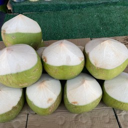 มะพร้าวน้ำหอม ไซส์ใหญ่