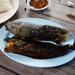 Grilled Catfish