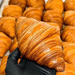 Plain Butter Croissant