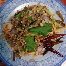 ครัวโนรายำมะม่วงรสเด็ด