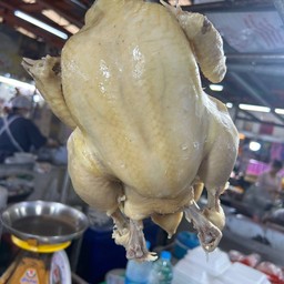 ไก่ไหว้