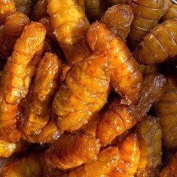 แมลงทอด แพรวพราว (ร้านประจำตลาดนกฮูก เลี่ยงเมืองนนท์) สาขา2 สาขา2