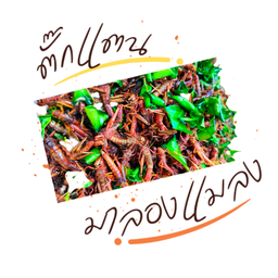 ตั๊กแตน