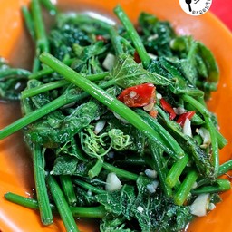 ยอดมะระไฟแดง