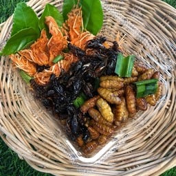 เก ร้อง ลำ(คางกุ้ง จิ้งหรีด ไหม)