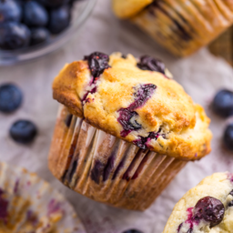 Muffin Blueberry