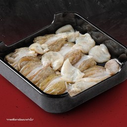 หมึกสาย